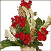 Cute Remembrance - Click here to View more details about this Product